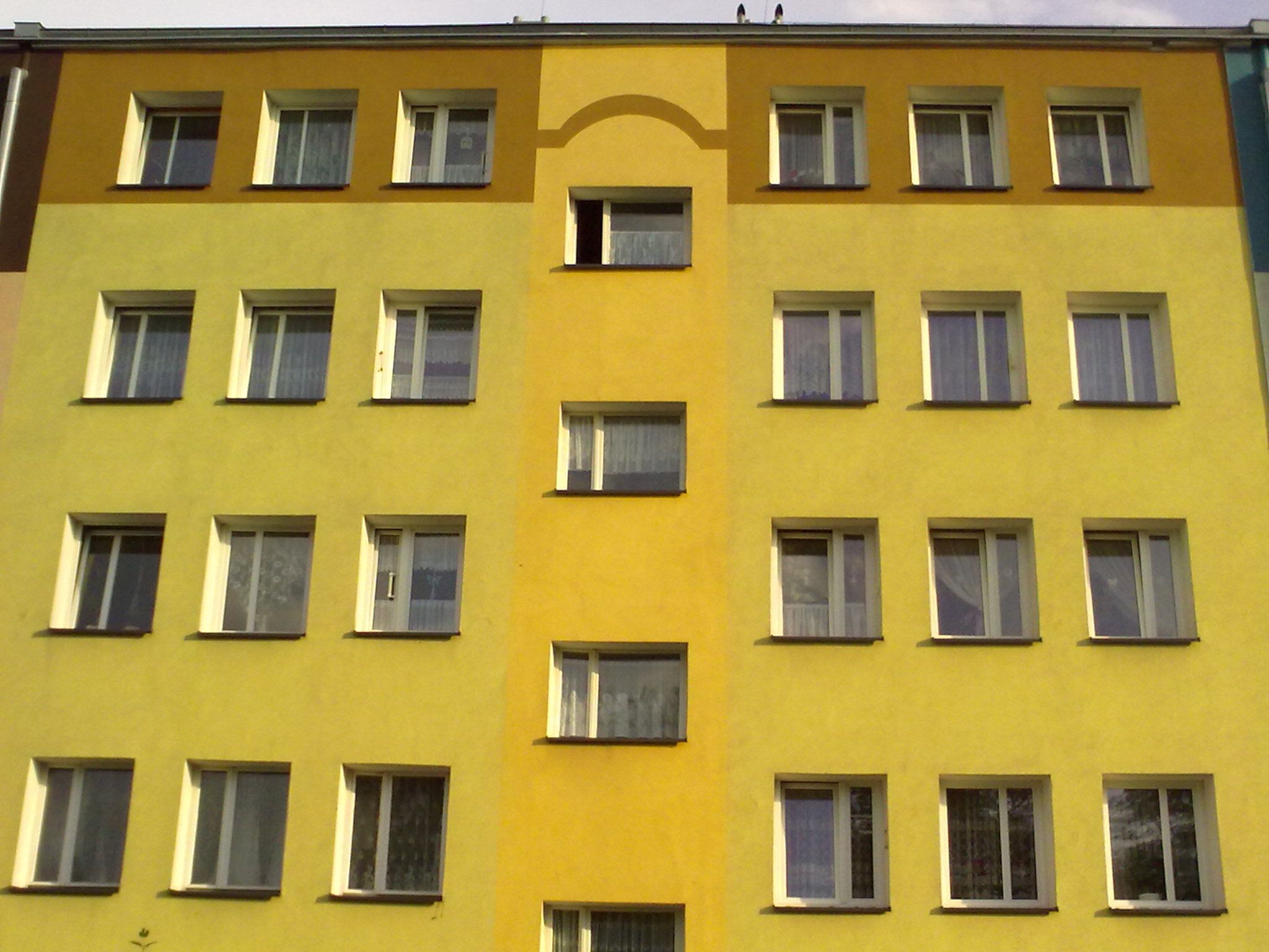 Mycie, czyszczenie, malowanie elewacji. Mycie oraz zabezpieczenie elewacji przed glonami. Czyszczenie elewacji